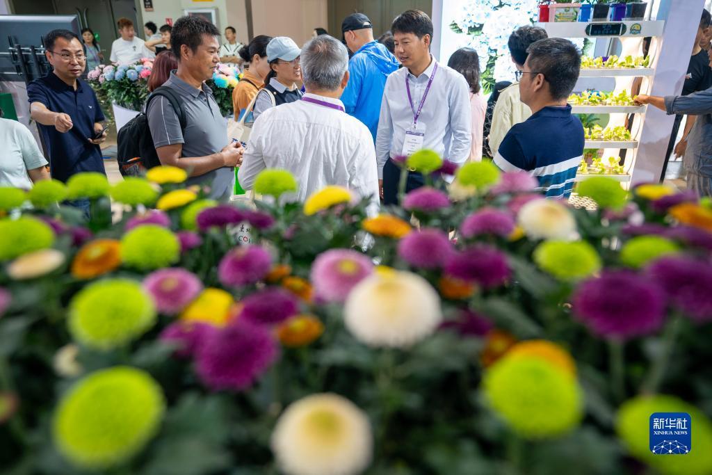 威尼斯在线官方网站